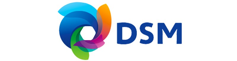 DSM