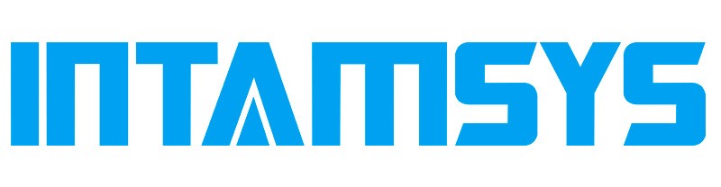 Intamsys